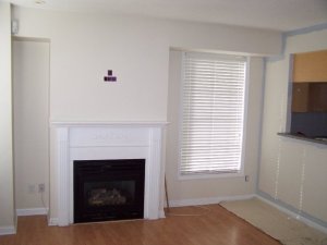 9120_103894029622321_100000051736009_104227_2049405_n